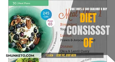 Extreme Diet: 500-Calorie Intake, What's Included?