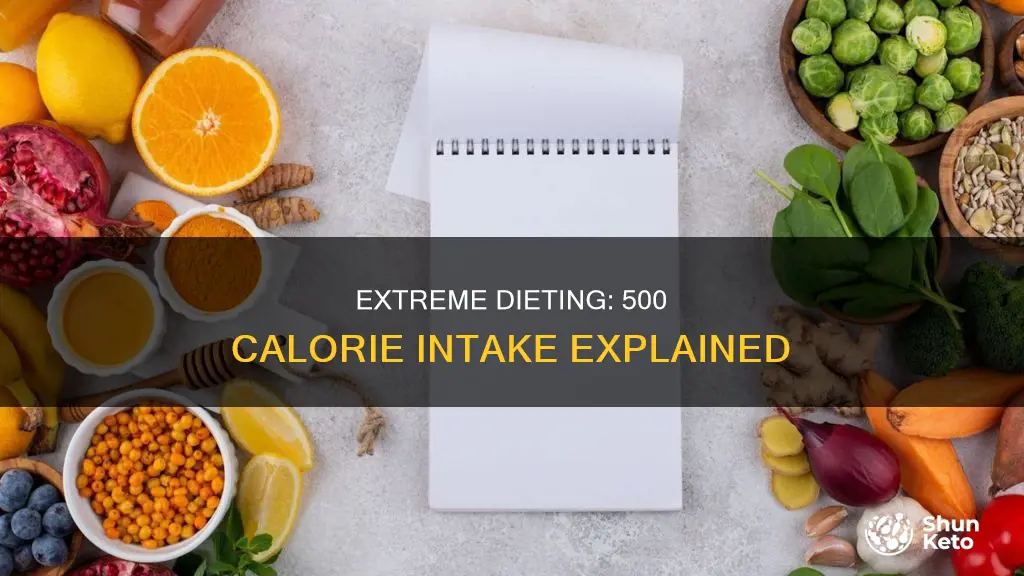 what does a 500 calorie a day diet look like