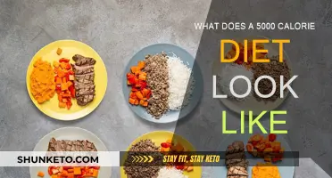 Extreme Calorie Intake: A 5,000-Calorie Diet Decoded