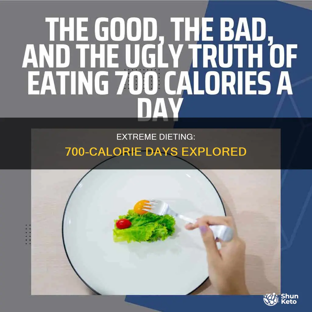 what does a 700 calorie diet look like