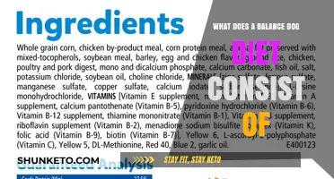 A Balanced Dog Diet: What Does it Include?