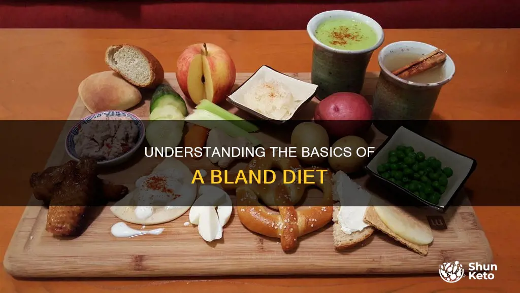 what does a bland diet mean