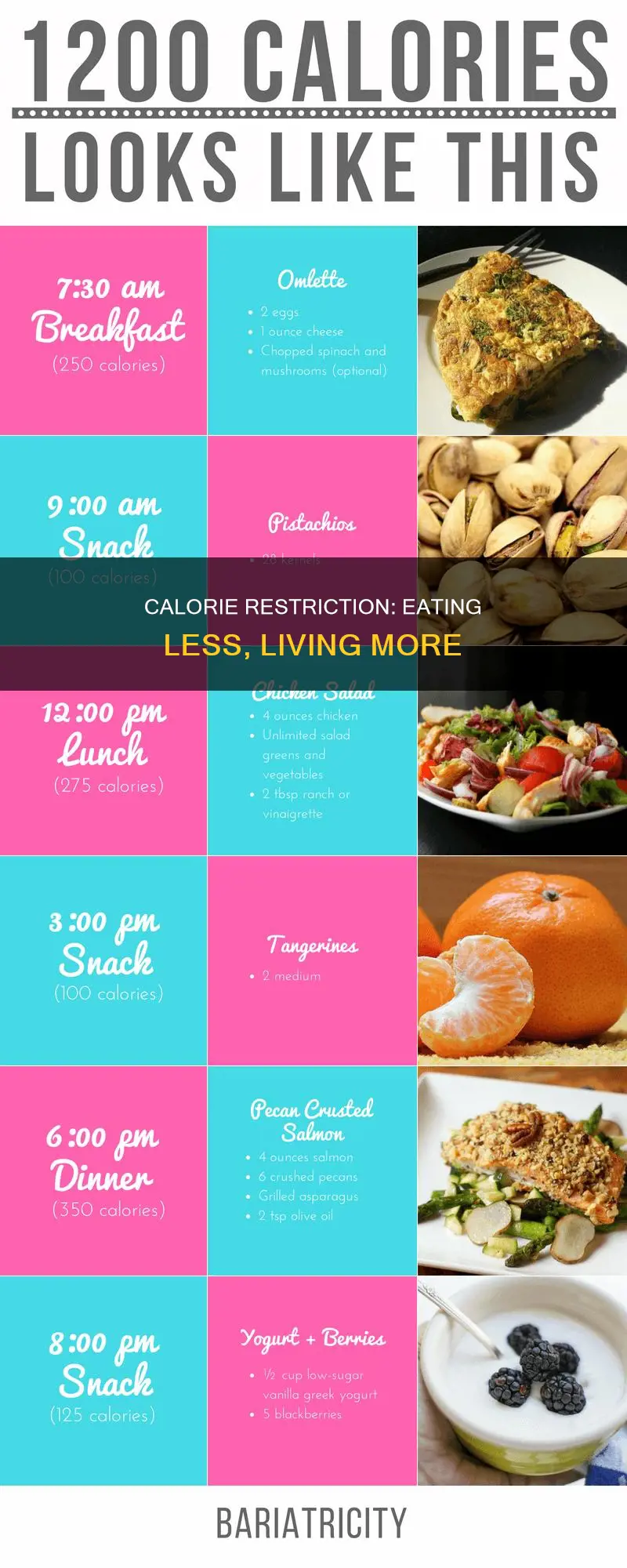 what does a calorie restriction diet look like