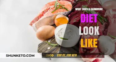 Carnivore Diet: What, Why, and How?