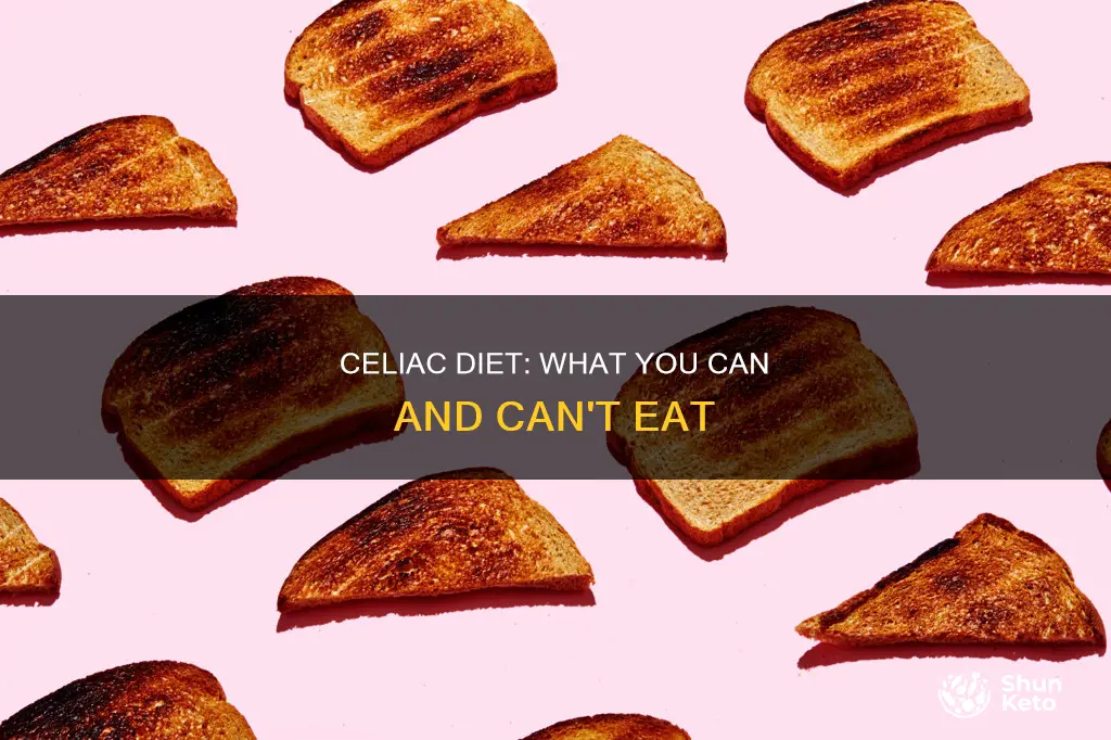 what does a celiac diet look like