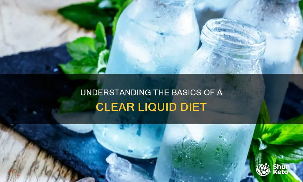 what does a clear liguid diet mean