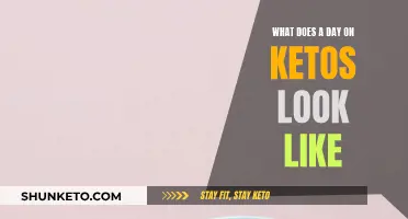 A Day in the Life on Keto: My Typical 24 Hours