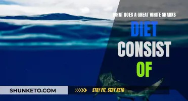 Great White Shark's Diet: What They Eat and Why