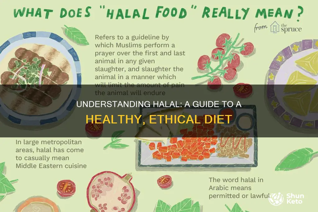 what does a halal diet mean