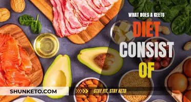 Ketogenic Diet: Understanding the Basics of This High-Fat Diet