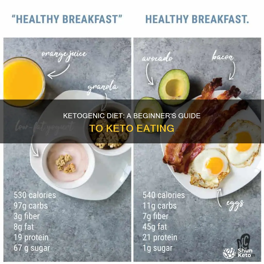 what does a ketogetnic diet look like
