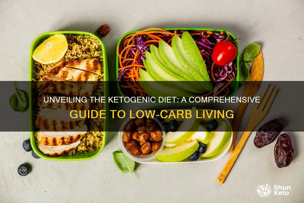 what does a ketone diet look like