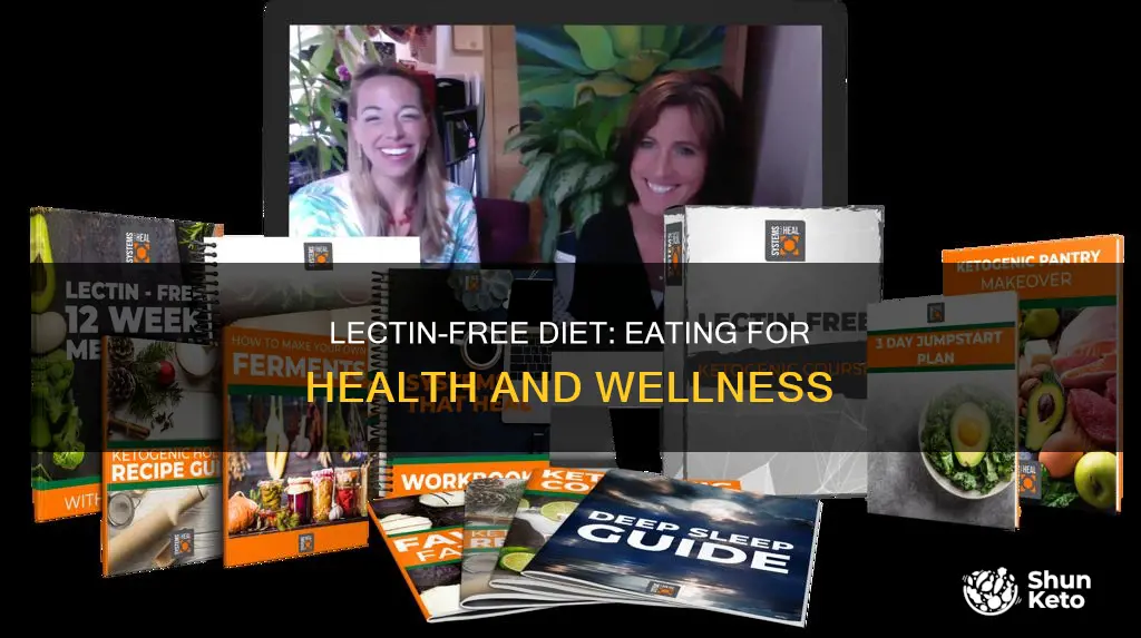 what does a lectin diet look like