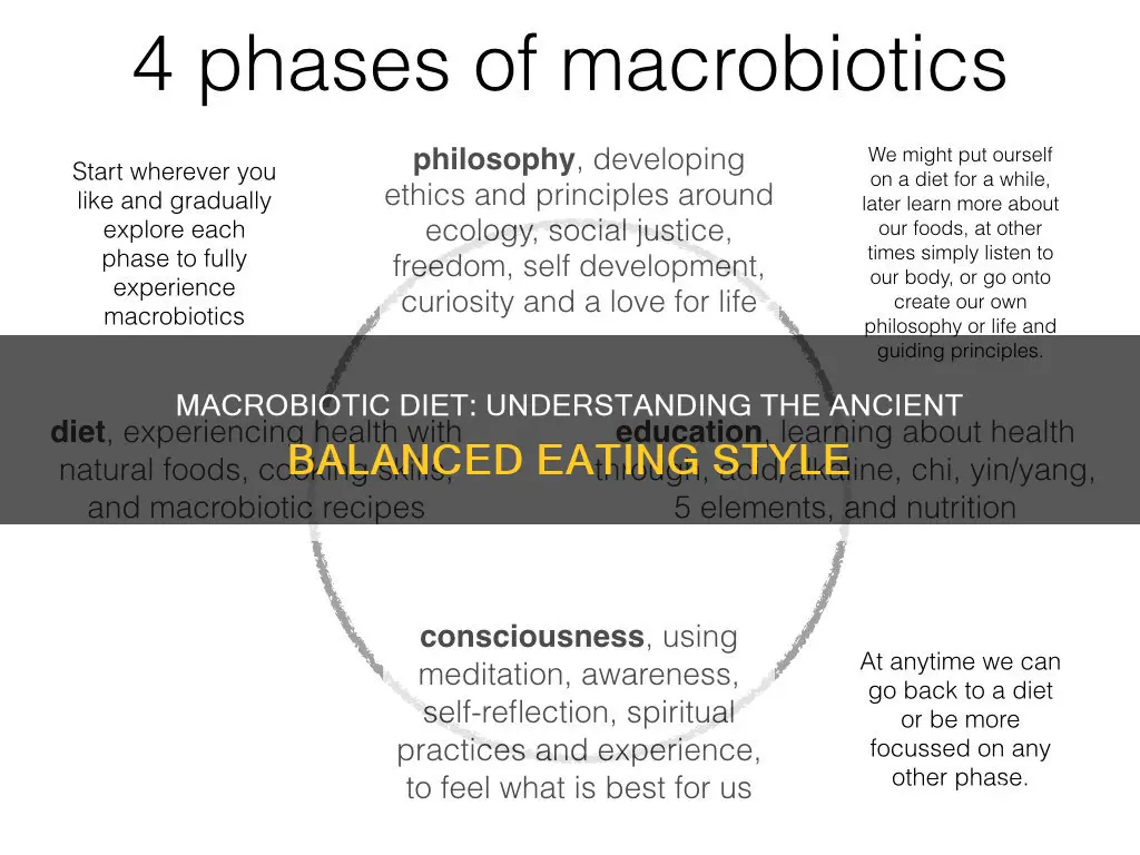 what does a macrobiotic diet mean