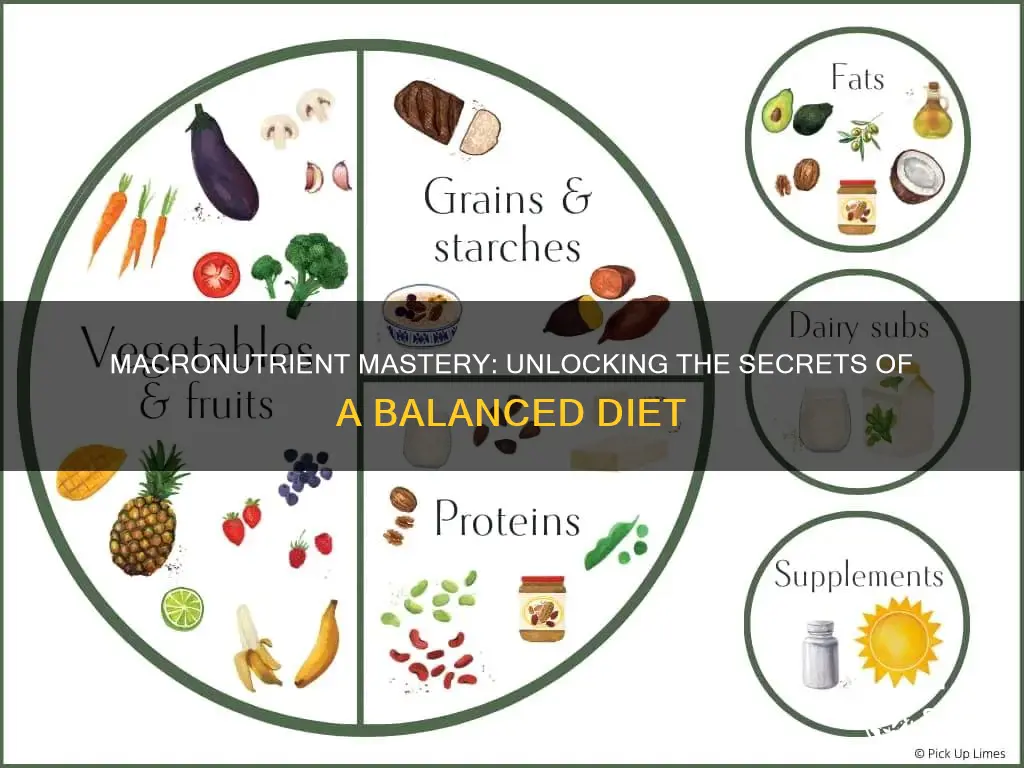 what does a macronutrient diet look like