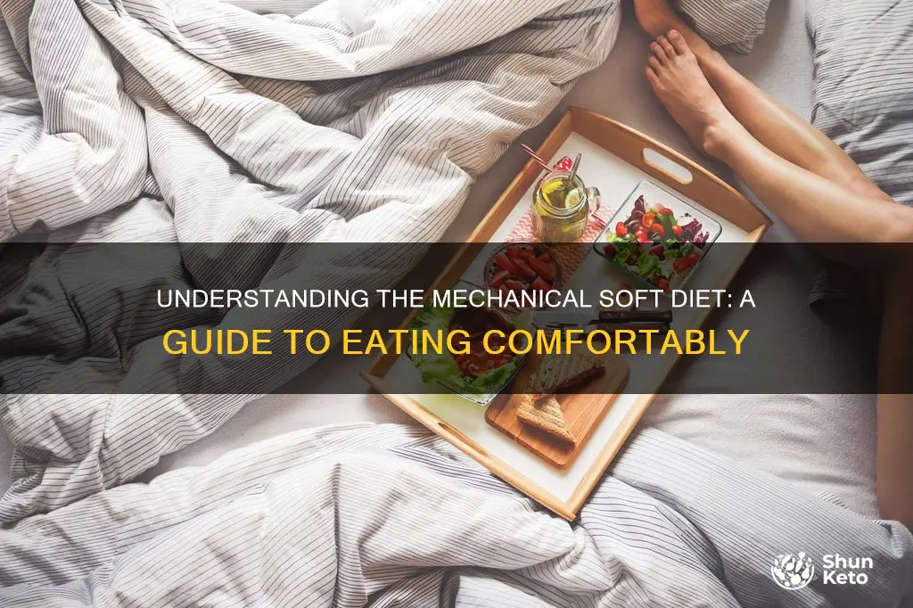 what does a mechanical soft diet look like