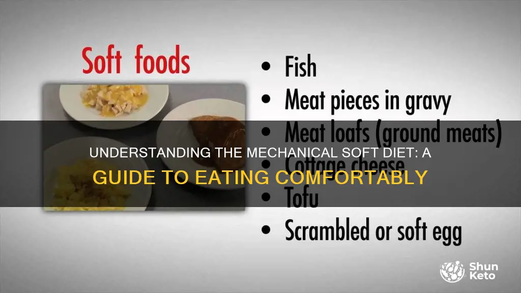 what does a mechanical soft diet mean