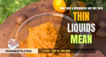 Understanding the Mechanical Soft Diet: A Guide to Thin Liquids