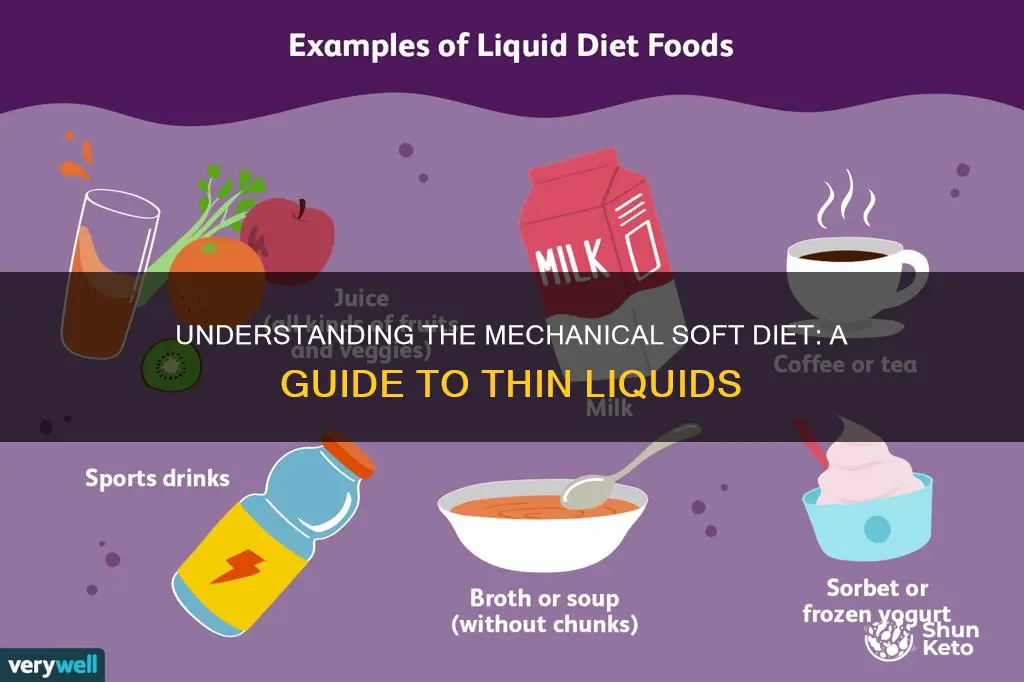 what does a mechanical soft diet with thin liquids mean