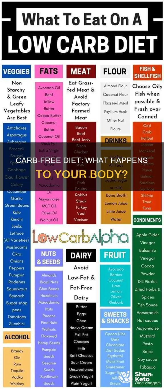 what does a no carb diet do