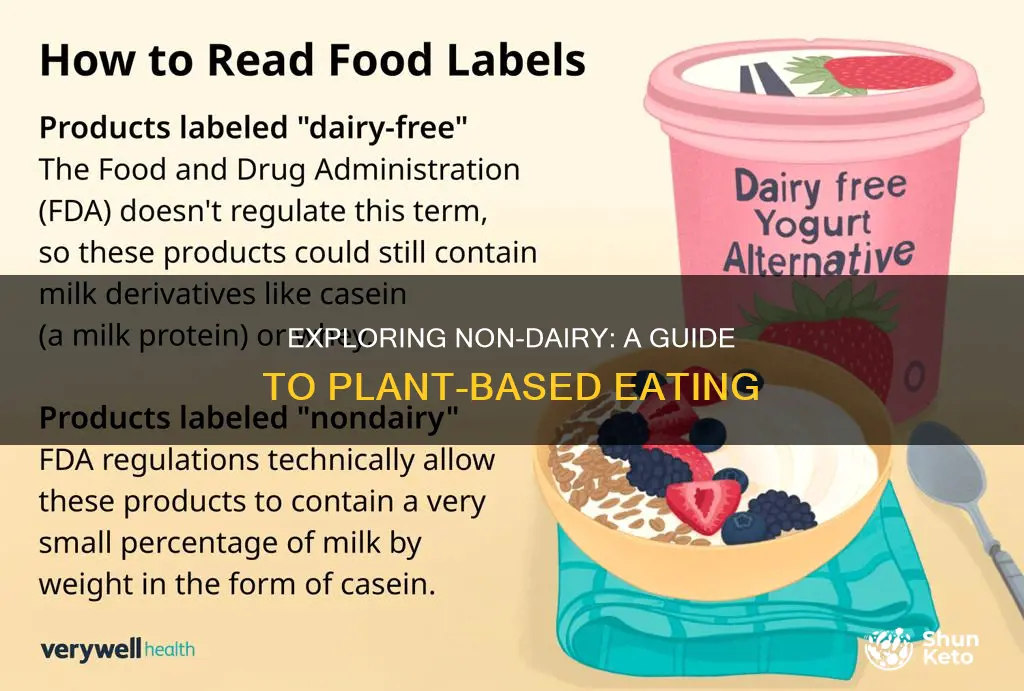 what does a non dairy diet mean