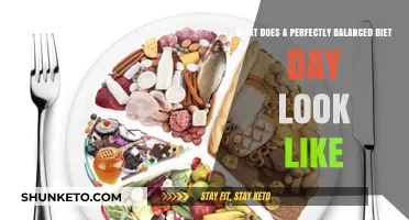 A Day of Perfectly Balanced Eating