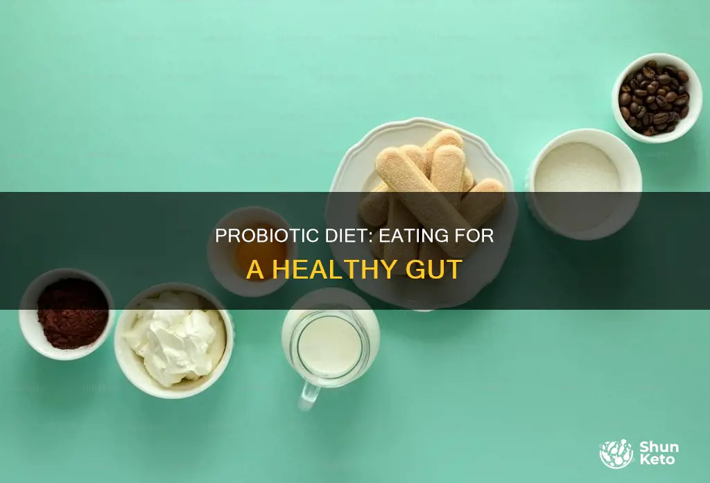 what does a probiotic diet look like