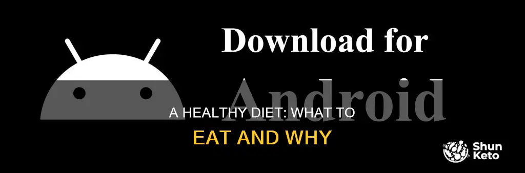 what does a proper diet consist of