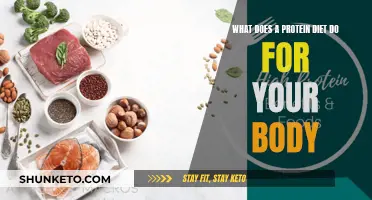 Protein Diet: Benefits and Impact on Your Body
