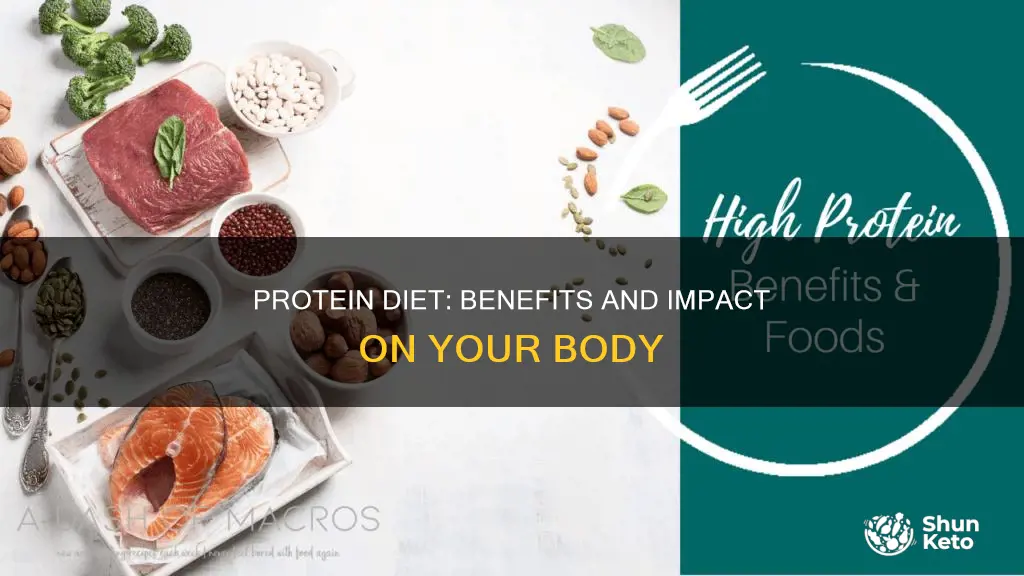 what does a protein diet do for your body