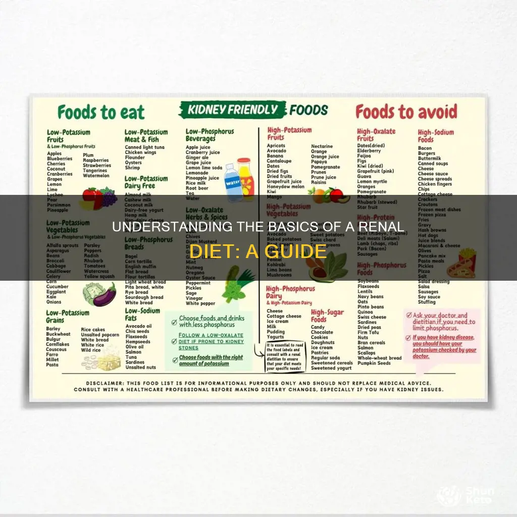 what does a renal diet mean