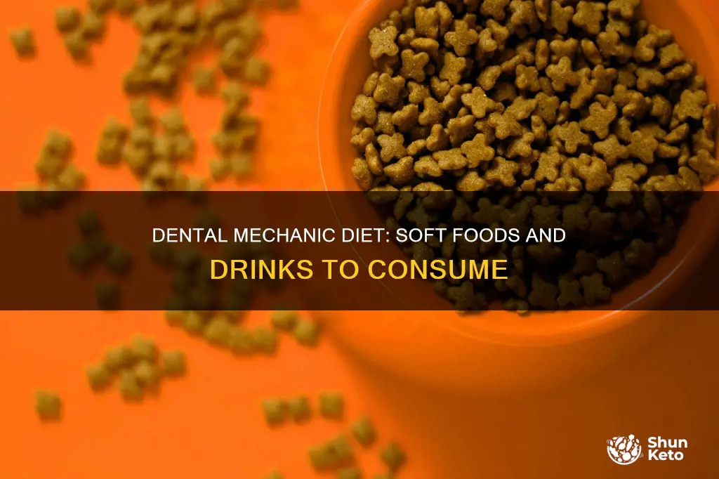 what does a soft dental mechanic diet consist of