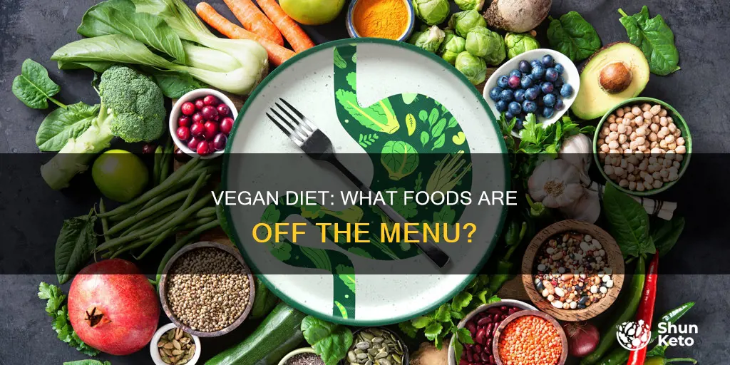 what does a vegan diet exclude