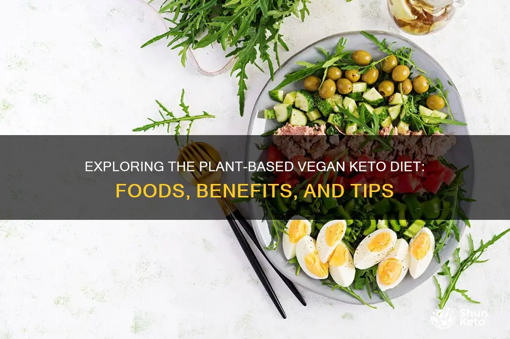 what does a vegan keto diet look like