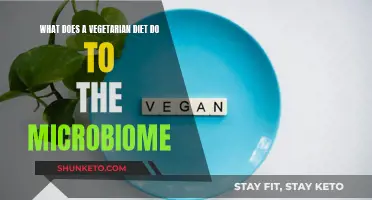 Vegetarian Diets: Impact on Human Microbiome Health