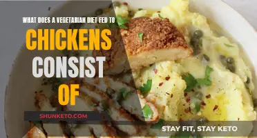 Vegetarian Chicken Diet: What Do They Eat?
