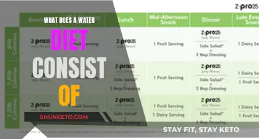 Water Diet: Drinking to Your Health?