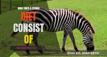Zebras' Diet: What Do They Eat and Why?