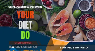 How Adding Protein to Your Diet Benefits You