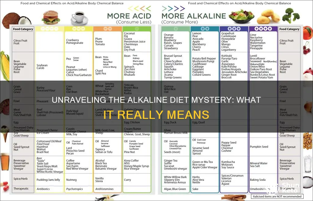 what does alkaline diet mean