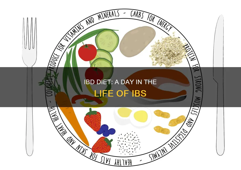 what does an ibs diet look like