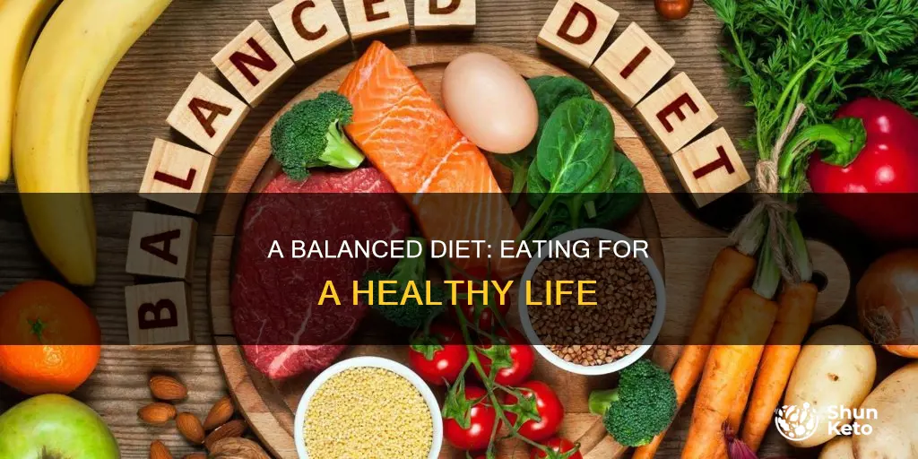 what does an ideal diet look like