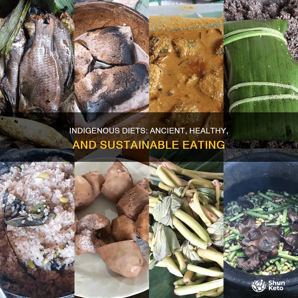 what does an indidenous diet look like