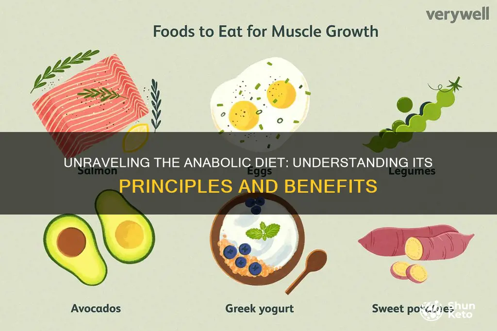 what does anabolic diet mean