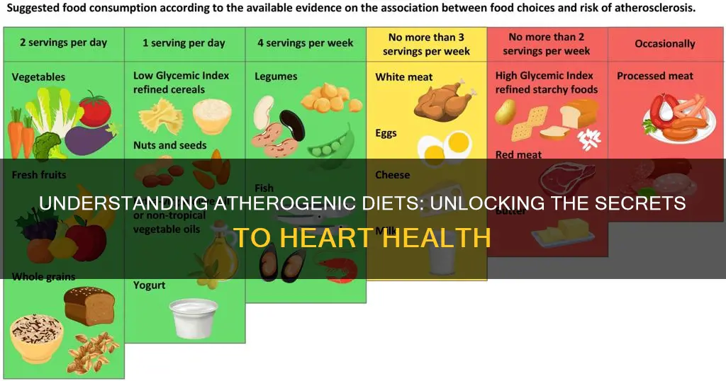 what does atherogenic diet mean