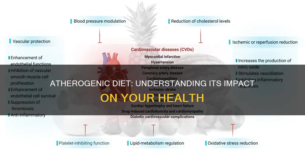 what does atherogenic diet mean
