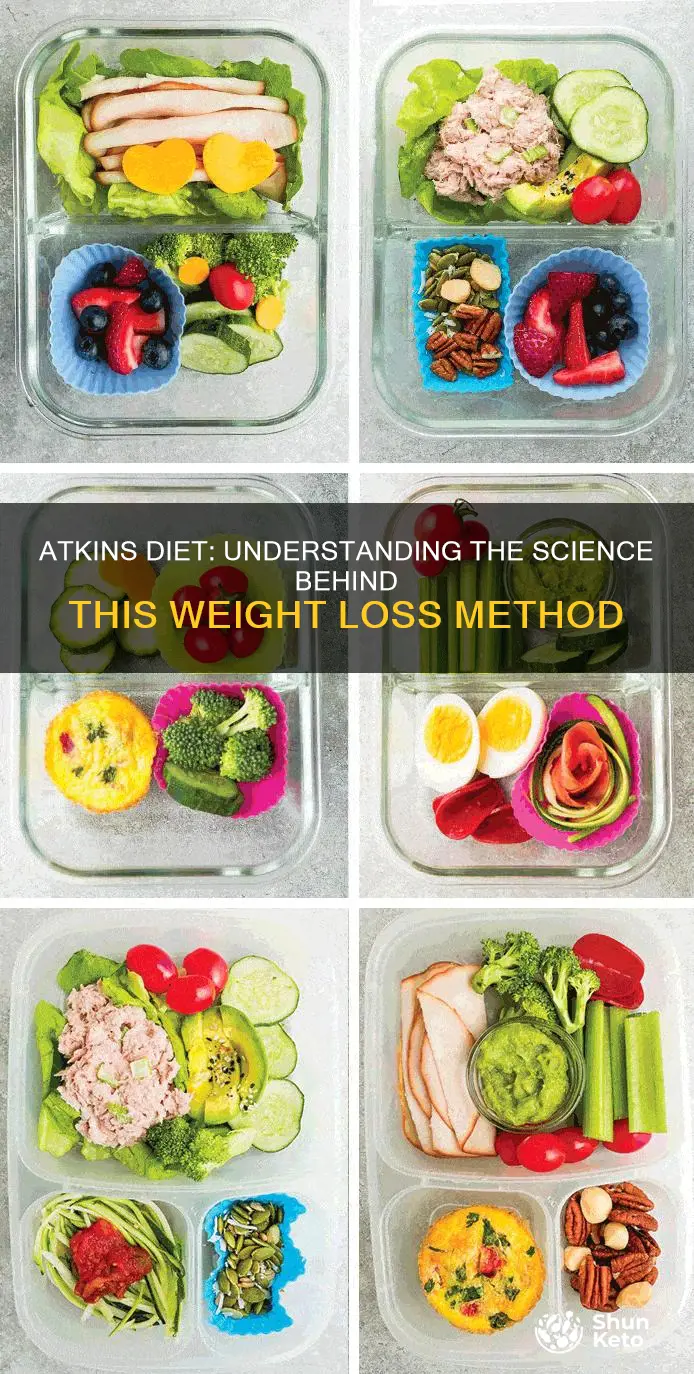 what does atkins diet use