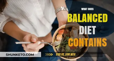 A Balanced Diet: Essential Components for Healthy Living
