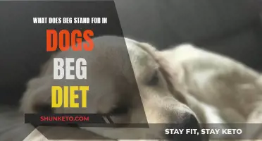 The Meaning of BEG in Dog Food and Diets Explained