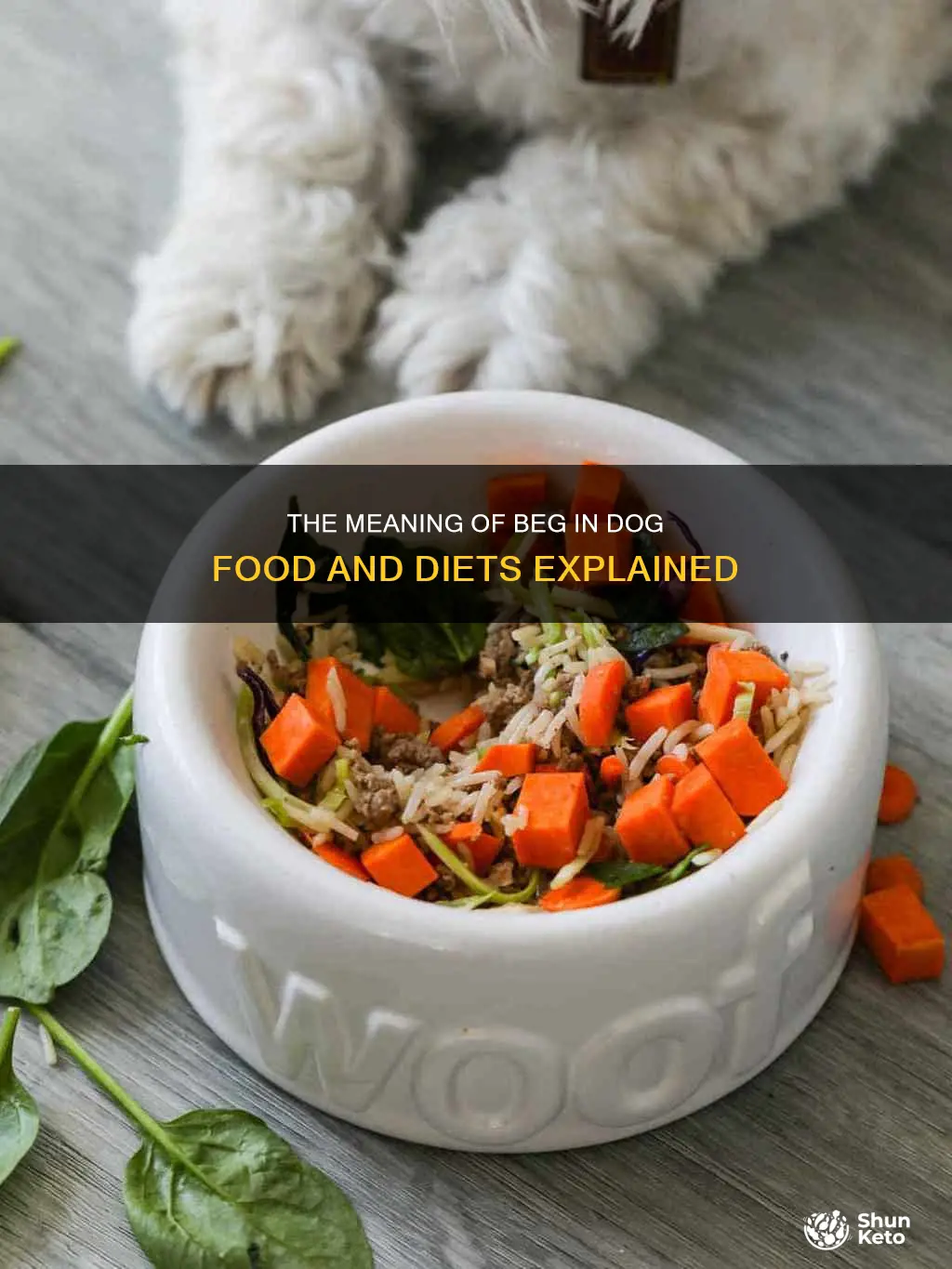 what does beg stand for in dogs beg diet